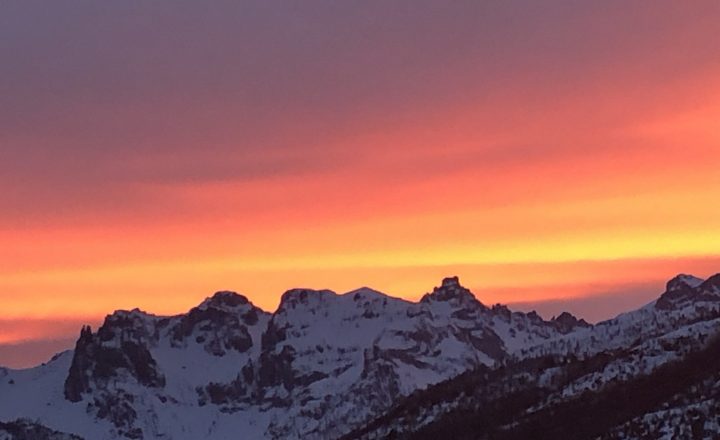 Coaching Nature Susanna Persson