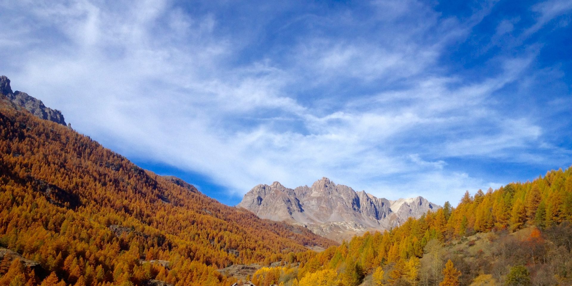 DISC et Forces Motrices