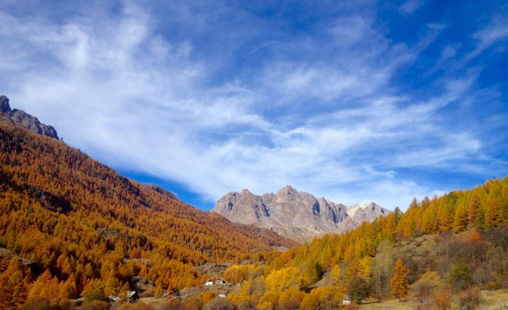 DISC et Forces Motrices