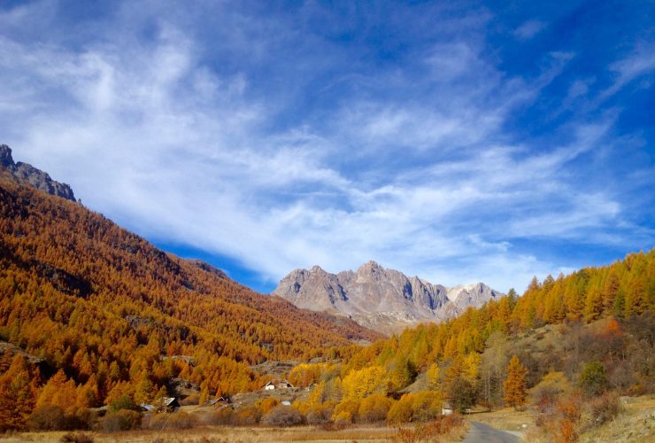 DISC et Forces Motrices